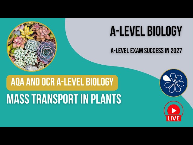 Mass Transport in Plants | AQA and OCR A-Level Y1 Biology