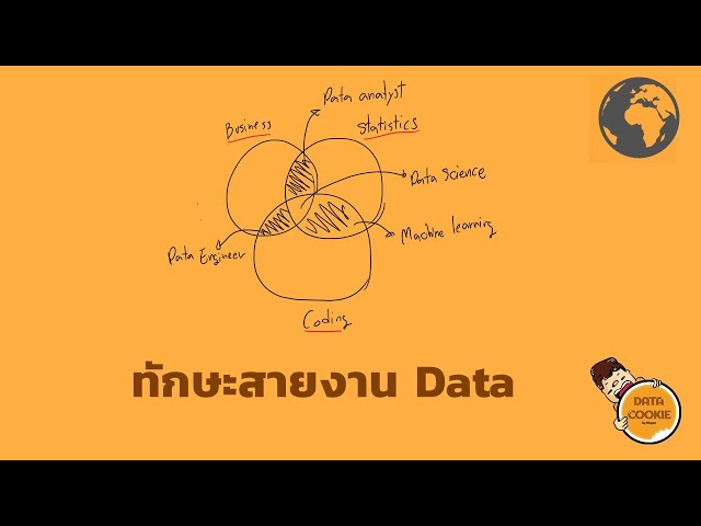 ทักษะสายงานData 🧑💼