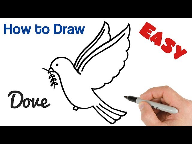How to Draw a Dove with Olive Branch | Pigeon Drawing Easy Art Tutorial