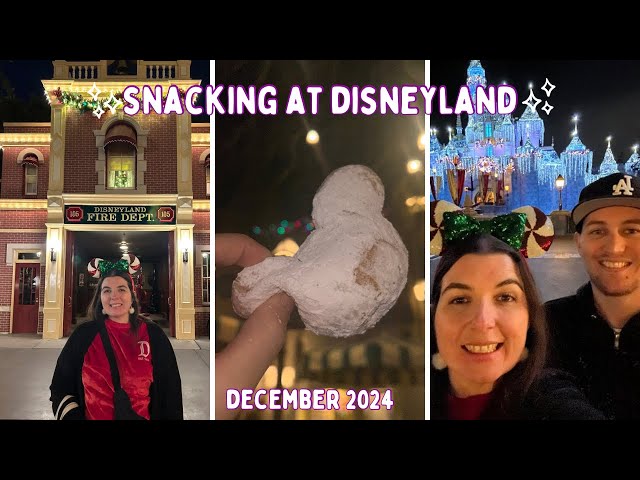 Disneyland Snack Day at Christmas, Blue Bayou & Believe in Holiday Magic Fireworks | DAY9 DEC24