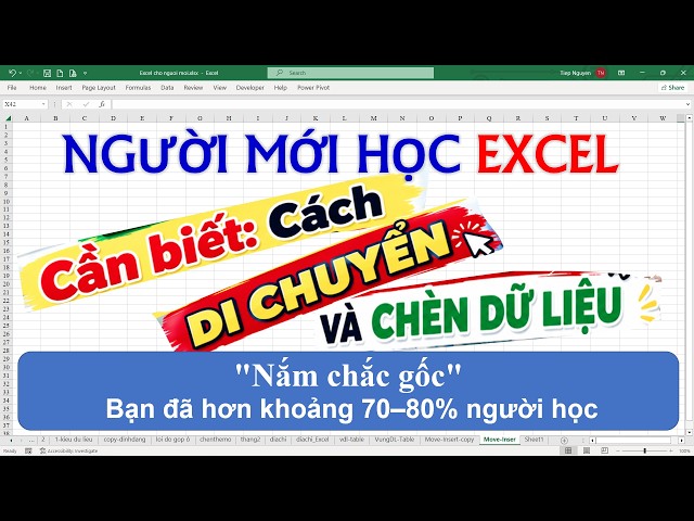 EXCEL BEGINNERS need to know how to move and insert data in Excel