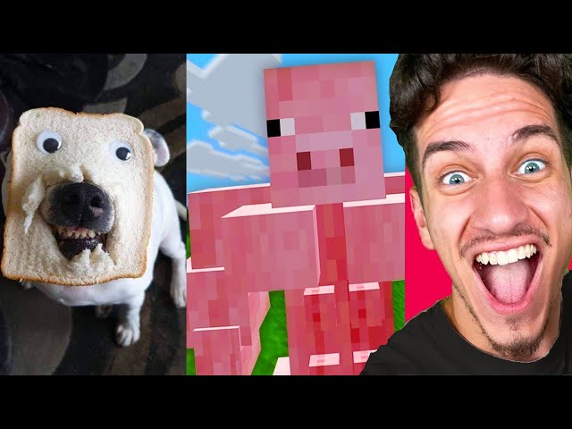 FUNNIEST @MooseCraft REACTION MOMENTS! #shorts