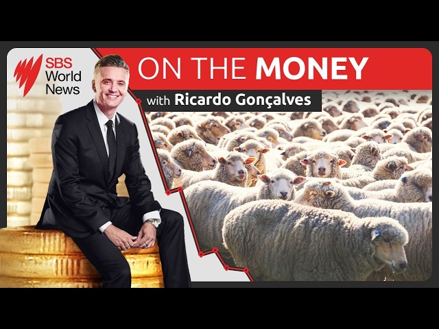 US super lamb talks | Rising deaths over 100 | ANZ dumps KPMG