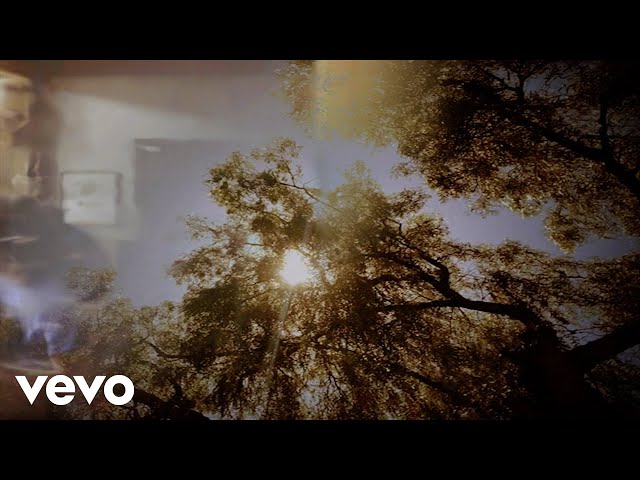 My Morning Jacket - Feel You (Official Visualizer)