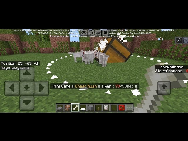 Pet mini game