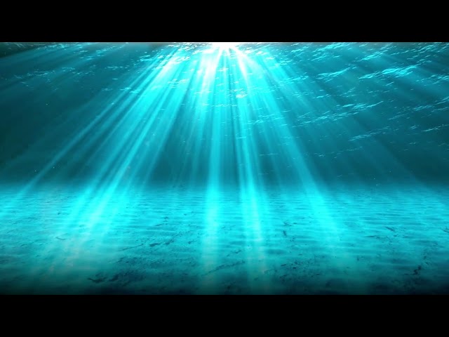 UNDERWATER AMBIENCE 🐠🫧 l  Calming Underwater White Noise  l  10 Hours of Relaxation