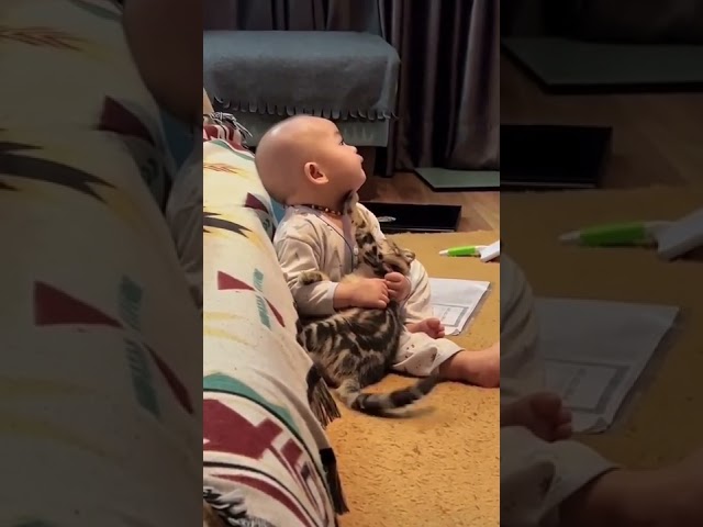 #baby #cuddling #cat #cat #cuddling #baby #funny #shorts