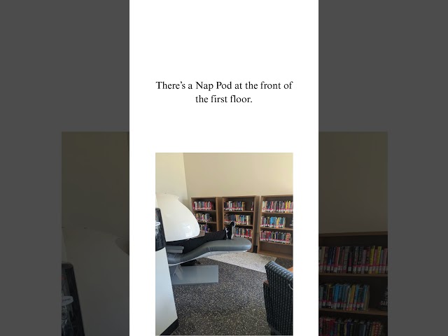 At the Library  - April Fools