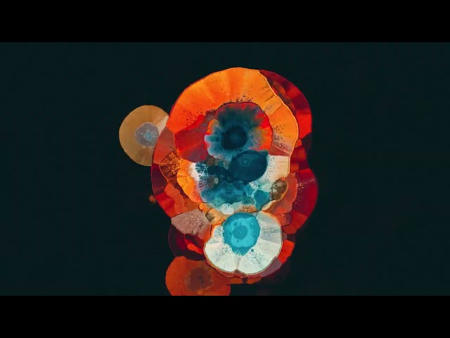 Joris Voorn - Nebula [Official Visualiser]