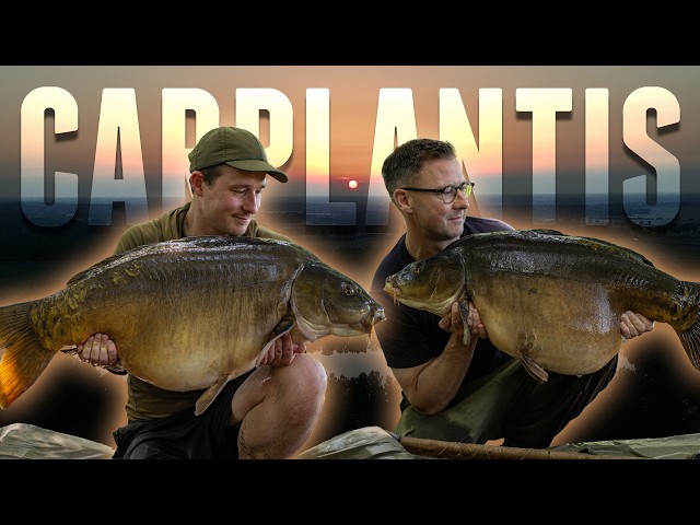 CARPLANTIS | Fishing for GIANT CARP in The Netherlands!