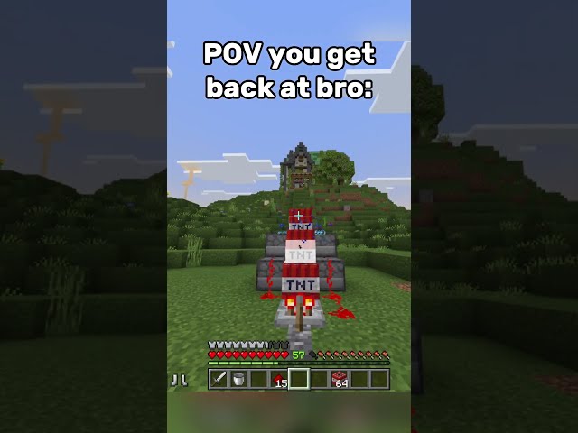 POV you get back at bro: #minecraft #funny #gaming