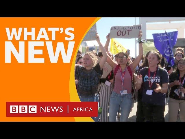 What is COP27 and other climate change stories - BBC What's New