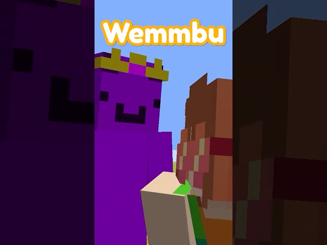 Infiltrating a FAKE Youtuber SMP