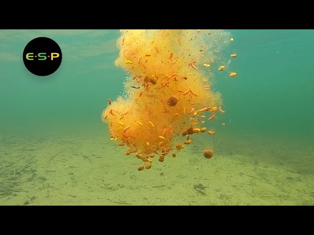 Jack Reid - Winter Carp Fishing