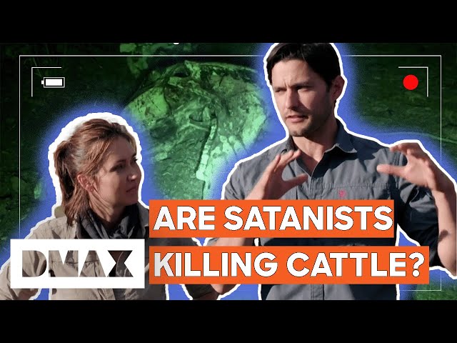 Investigators Camp Out At The Site Where Bulls Are Being Mutilated! | Expedition X