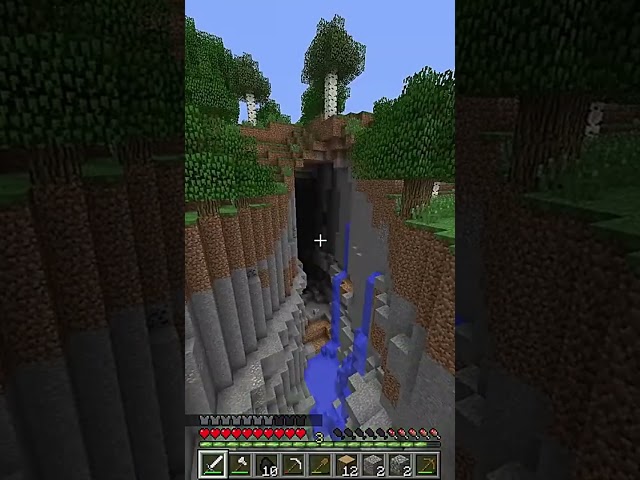 Professional Minecrafter BTW