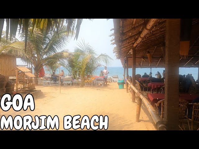 Morjim Beach - March 2022 | Goa Vlog | North Goa | Famous Russian Beach Morjim Drone Shots DJI MINI2