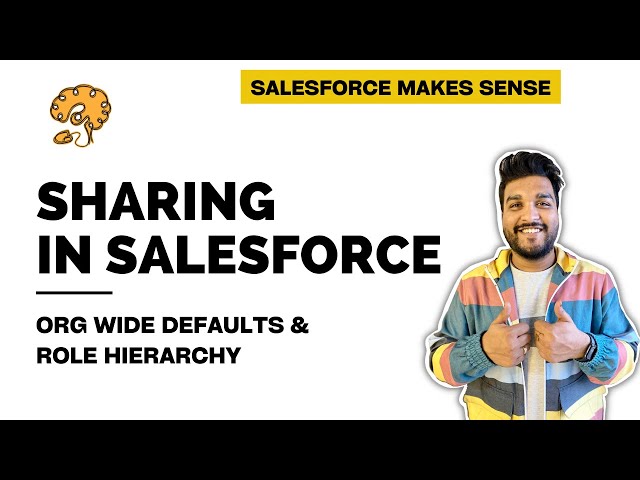Org Wide Defaults & Role Hierarchy | Sharing Settings - Part 1 | Zero to Hero | EXPLAINED