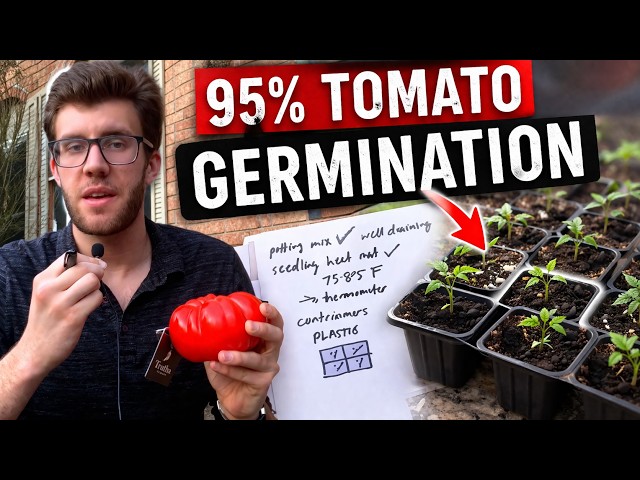 How to Start Tomato Seeds Indoors for INSANE Germination Rates