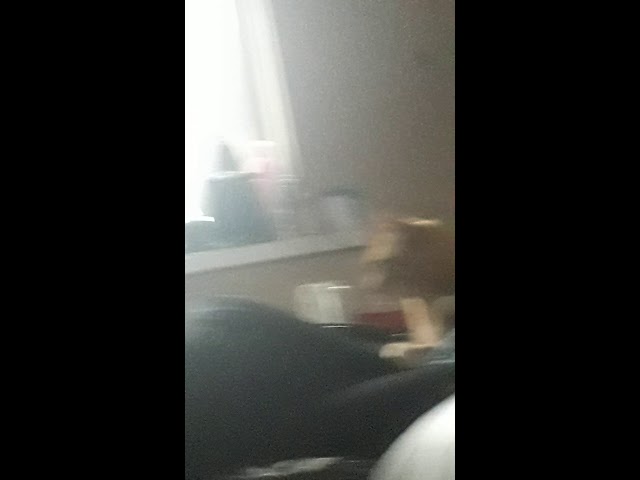 My cat watches Bird Banaza