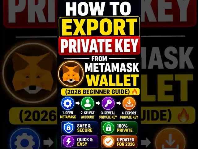 How To Export Private Key From MetaMask Wallet (2026 Beginner Guide)