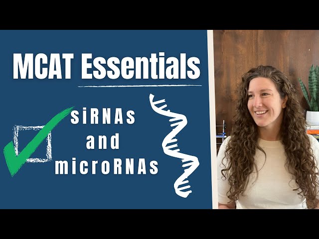 MCAT Biochemistry: siRNAs and microRNAs