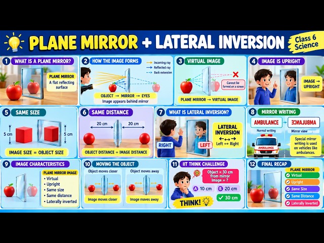 Plane Mirror & Lateral Inversion Explained | Class 6 Science | Light | IIT Foundation