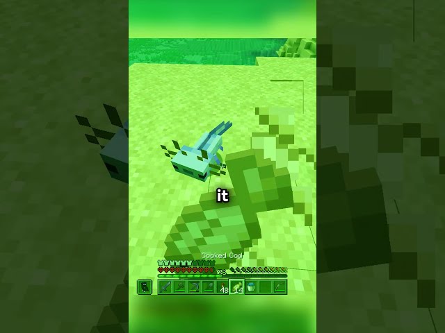 The Rarest Mob Took Me HOURS to Get?! 😯 #minecraft