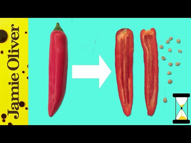 How To De-seed a Chilli | Jamie’s 1 Minute Tips