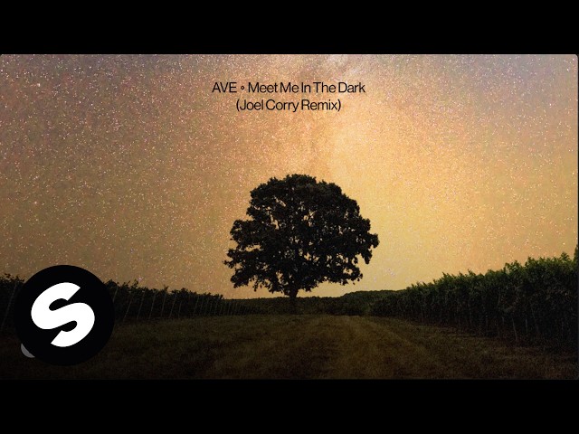 AVE - Meet Me In The Dark (Joel Corry Remix) [Official Audio]