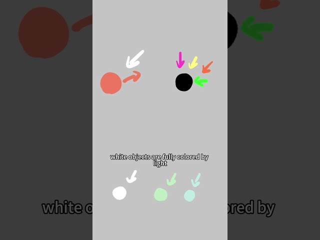 light-colored objects are more receptive to being colored.