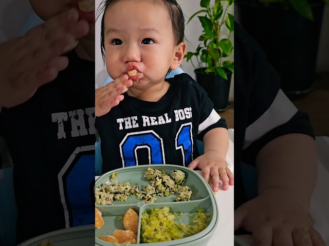 Tuna, avocado & seaweed rice balls with cabbage & mandarins #blw #babyledweaning #babyeatingvideo