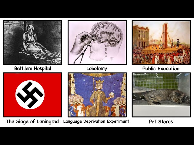 Things That Make You Question Humanity
