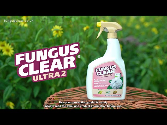 How to Use FungusClear® Ultra 2 Spray | Fights Black Spot, Mildew & Rust | Love The Garden