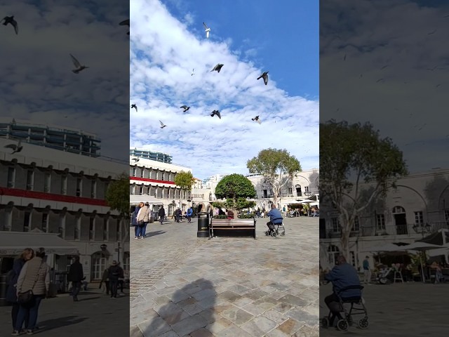 Gibraltar ๐ฌ๐ฎ