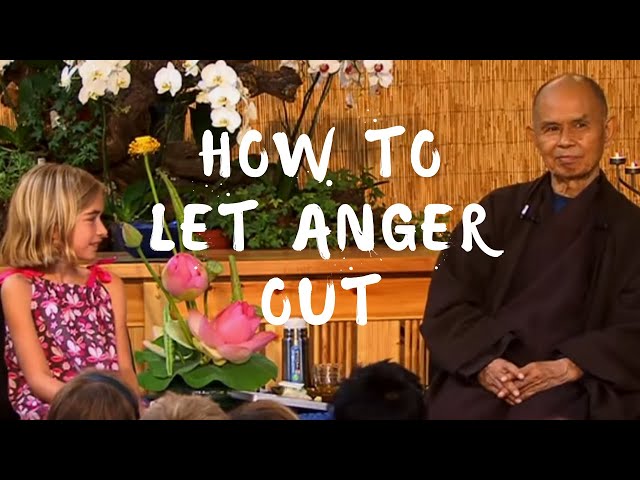How to let anger out | Thich Nhat Hanh answers questions