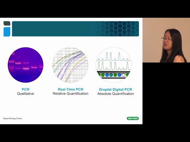 Introduction to Droplet Digital™ PCR: Workflow and Applications