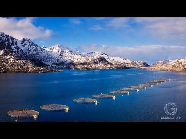 GLOBALG.A.P. Aquaculture Certification