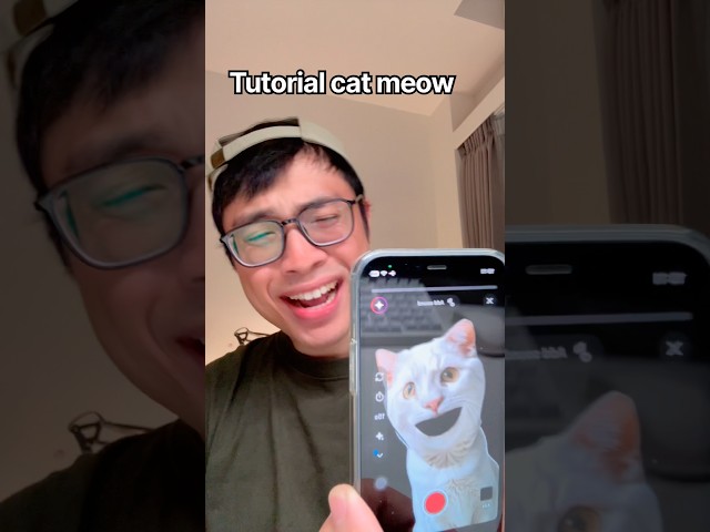 Tutorial Cat Meow 😸 #funny #tutorial #fyp