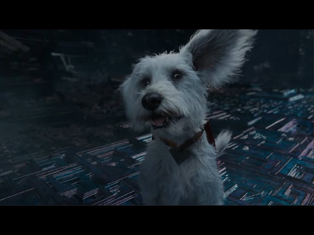 Krypto (DCU) Powers and Fight Scenes - Superman Part 2