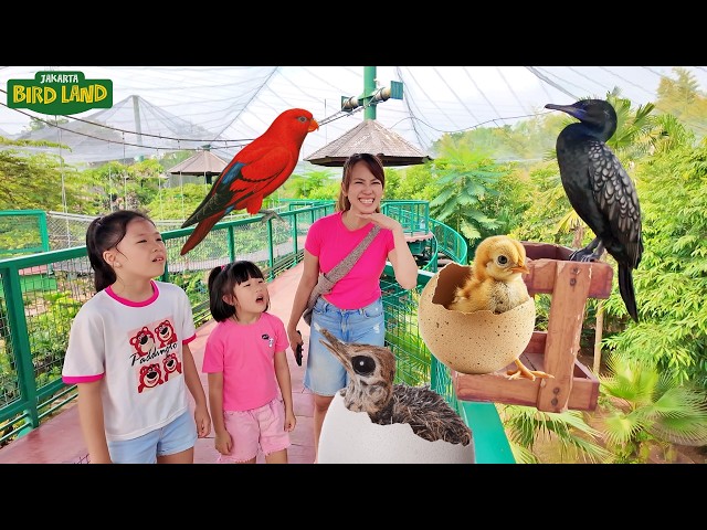 Pertama Kali Lihat Telur Burung Menetas di Jakarta Bird Land