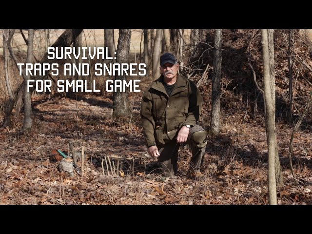 How to Make Traps and Snares for Small Game | Tactical Rifleman