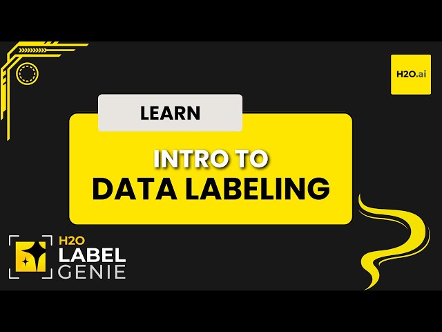 Introduction to Data Labeling | H2O Label Genie Starter Track - Part 1