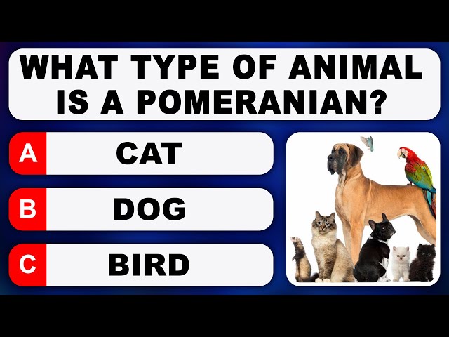 Are you Oblivious? Test your General Knowledge! | Trivia Quiz Game Round 11