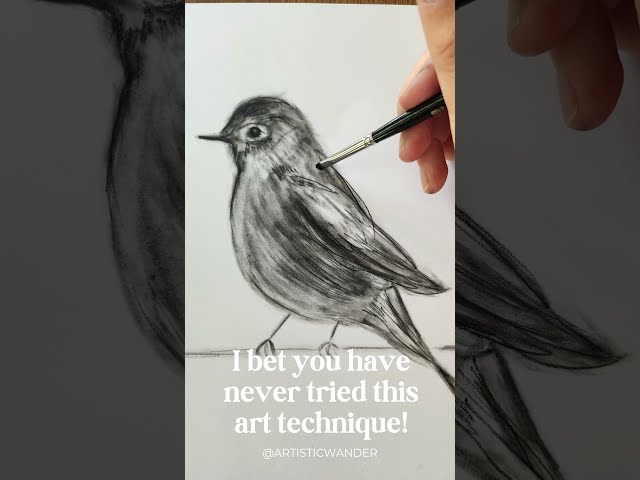 Paint A Bird With Dust!? Art Technique That You Haven't Tried Yet But Will Love!