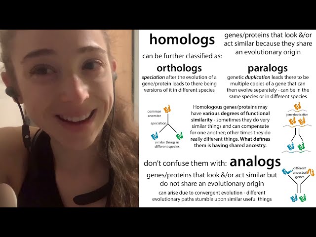Homology terminology (homolog, ortholog, paralog) - plus sequence similarity and identity