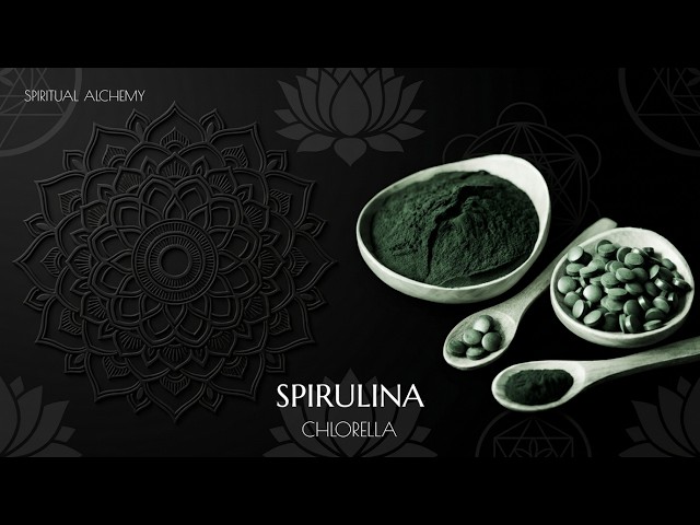 🥬 Spirulina Chlorella Synergy | Cellular Detox Complex (Energy Programmed Morphic field)
