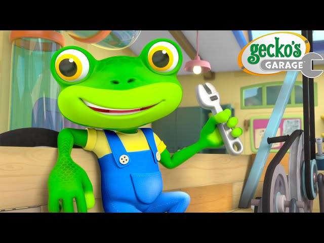 Gecko Is Soooo Fly | Gecko's Garage | Cartoons For Kids | Toddler Fun Learning
