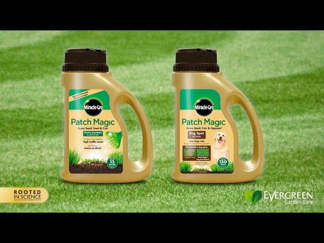 Using Miracle-Gro Patch Magic to repair damaged areas in a lawn