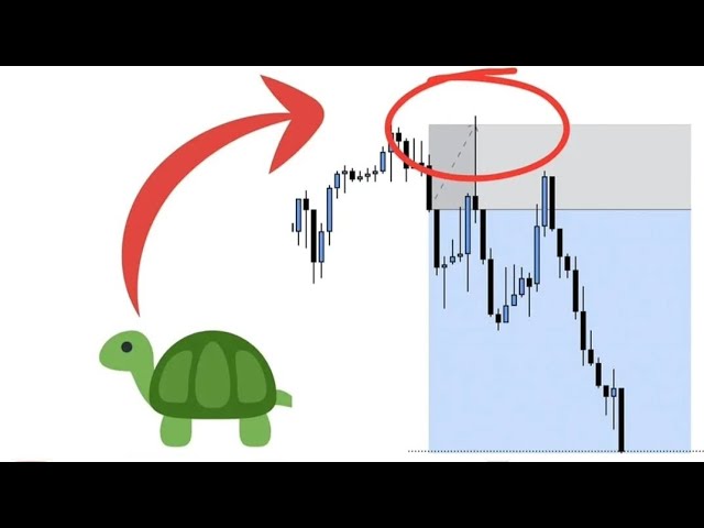 Turtle Body Soup in ICT SMC | TBS + PD Array = High Probability Setup | ICT TBS Sweep, Reclaim